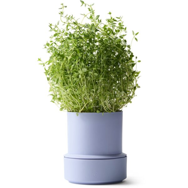 Crushgrind Billund selvvandingspotte lavender